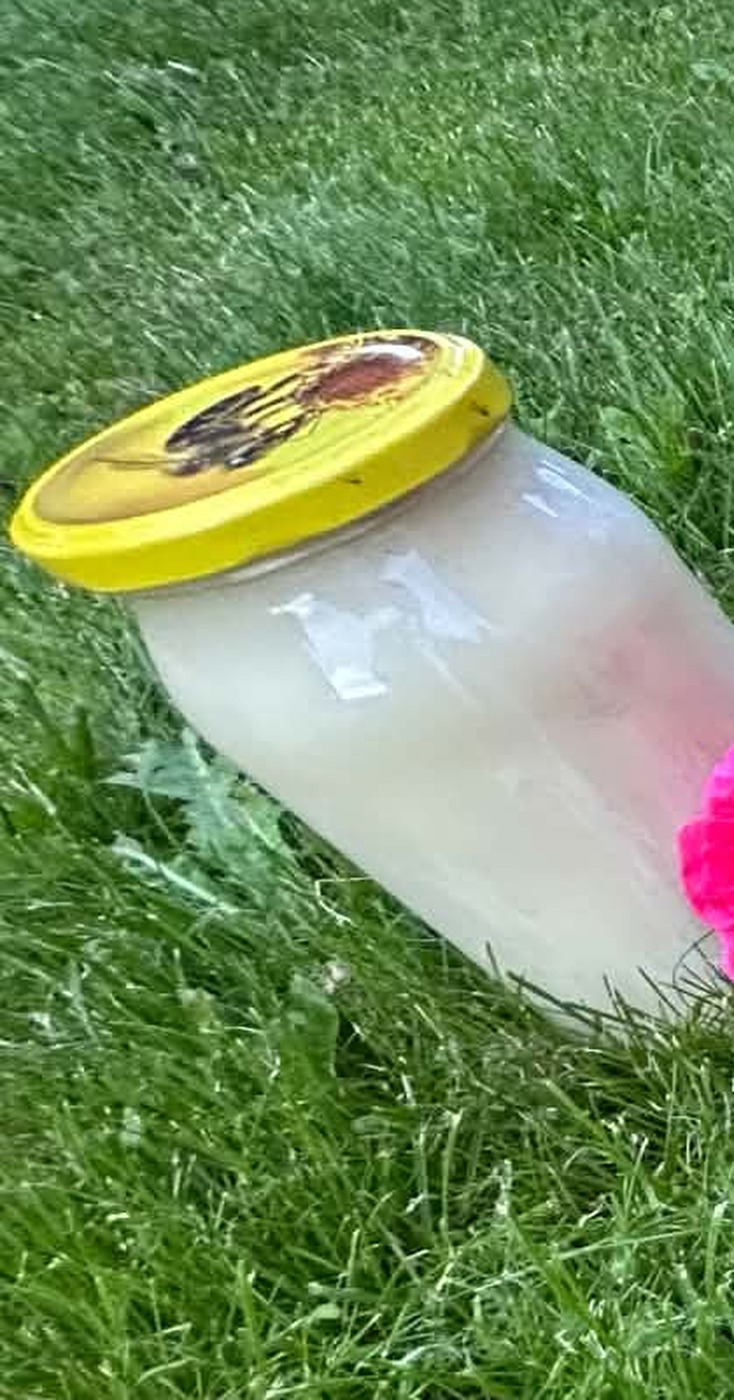 Miód Faceliowy